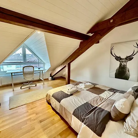 Cosy Roof Flat Close Lausanne Center - Es Apartment