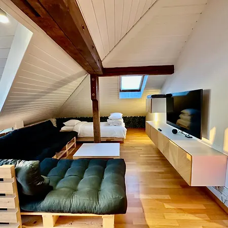 Cosy Roof Flat Close Lausanne Center - Es アパート Prilly