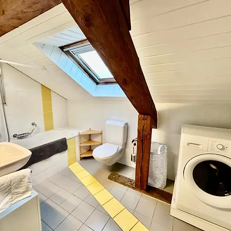 Cosy Roof Flat Close Center - Es Apartment Lausanne