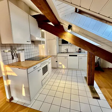 Cosy Roof Flat Close Lausanne Center - Es アパート Prilly
