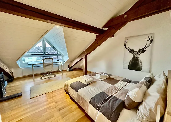 Cosy Roof Flat Close Lausanne Center - Es Apartment