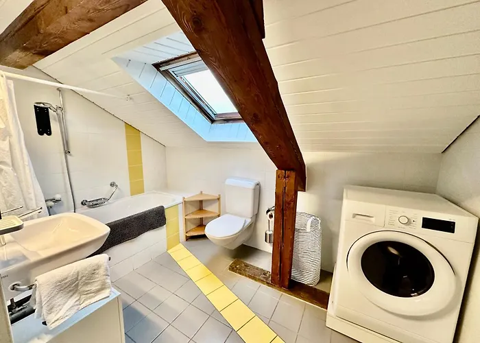 Cosy Roof Flat Close Lausanne Center - Es Apartament Prilly