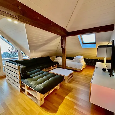 Cosy Roof Flat Close Lausanne Center - Es Apartament Prilly